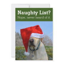 いたずらリスト？ いいえ、聞いたことないよ。おもしろい写真H