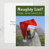 いたずらリスト？ そんなもの知らないよ。おもしろい写真H シーズンカード (正面/裏面)