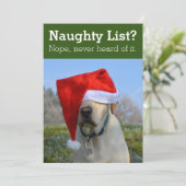 いたずらリスト？ そんなもの知らないよ。おもしろい写真H シーズンカード (スタンド正面)