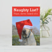 いたずらリスト？ そんなもの知らないよ、面白い写真 シーズンカード (スタンド正面)