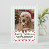 いたずら好きな愛らしい犬のクリスマスカード シーズンカード (スタンド正面)