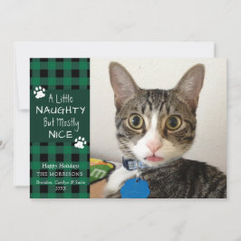いたずら猫グリーンブラックチェック柄 クリスマスカード