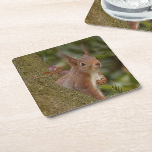 いたずら赤リス スクエアペーパーコースター (アングル)