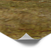 いたずら赤リス ポスター (角)