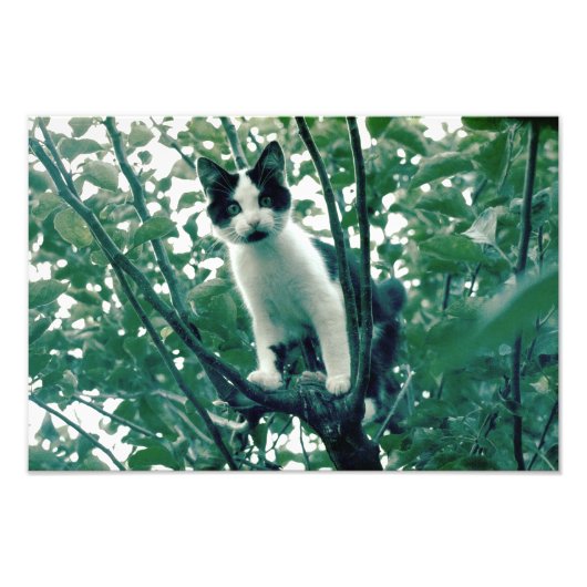 いたずら過ぎ フォトプリント (正面)