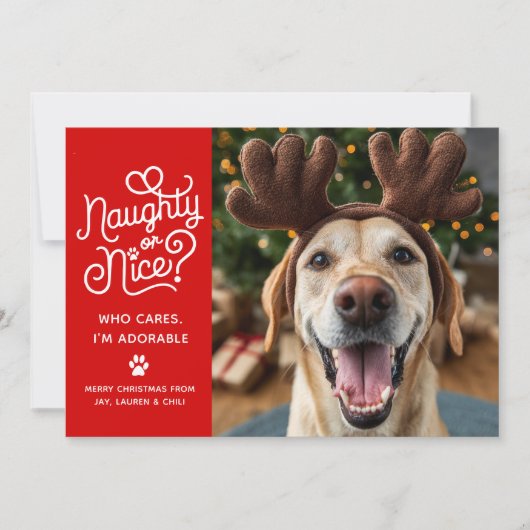 いたずら?それとも良い子? かわいいペットの犬・猫の写真 シーズンカード (正面)