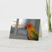 いたずら カード (正面)