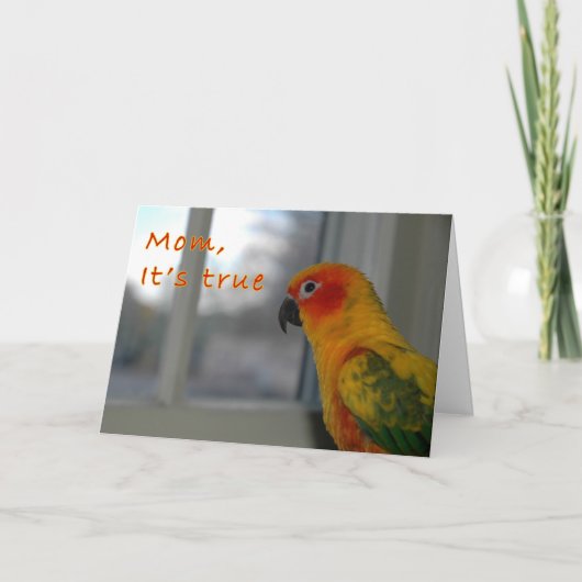 いたずら カード (正面)