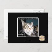 いたところ ポストカード (正面/裏面)