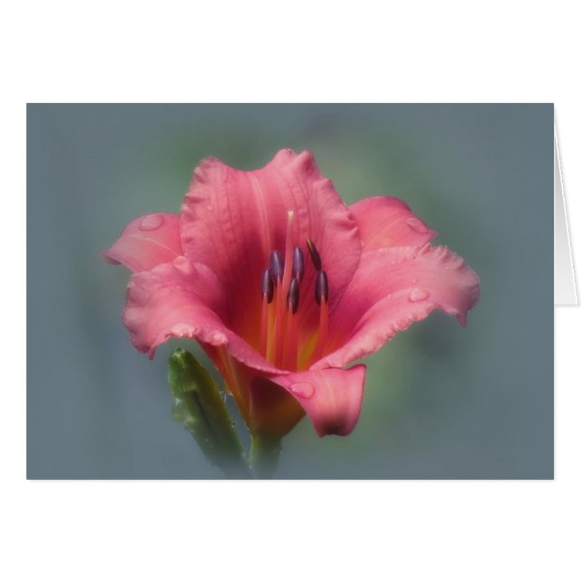 いちごおよび青ワスレグサ (正面横)