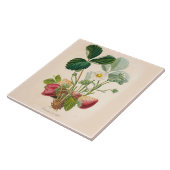 いちごのセラミックタイルの台所アクセント タイル (側面)