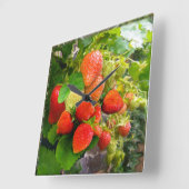 いちごの時間~の時計 スクエア壁時計 (傾斜)