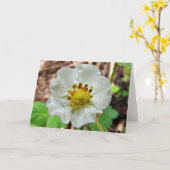 いちごの花の挨拶状、中ブランク カード (黄色い花)
