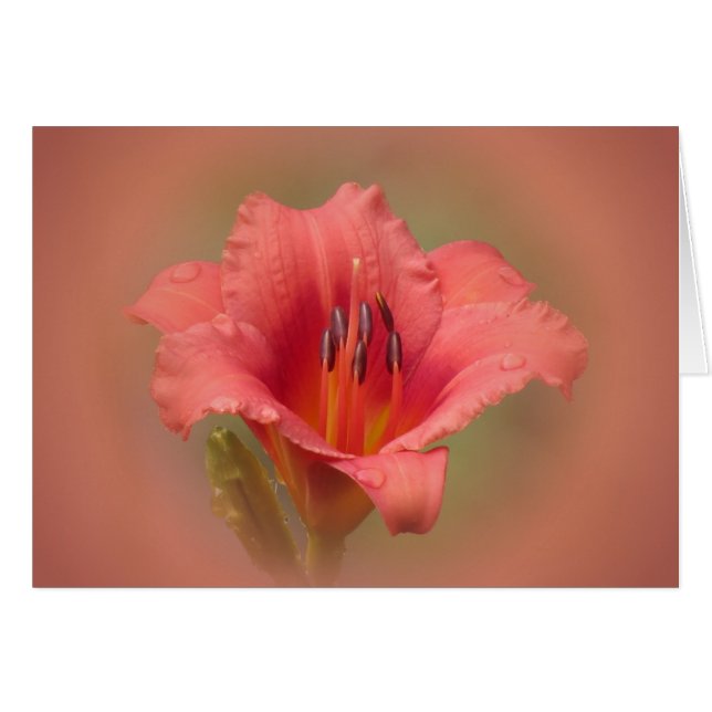 いちごの花びら (正面横)