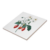 いちごのRedouteの植物のセラミックタイル タイル (側面)