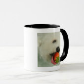 いちごを食べているBichon Friseのクローズアップ マグカップ (正面右)