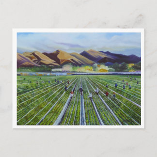 いちご分野 ポストカード