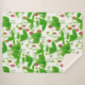 いちご園 シェルパブランケット (正面(横))