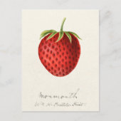 いちご果実水絵画色 ポストカード (正面)