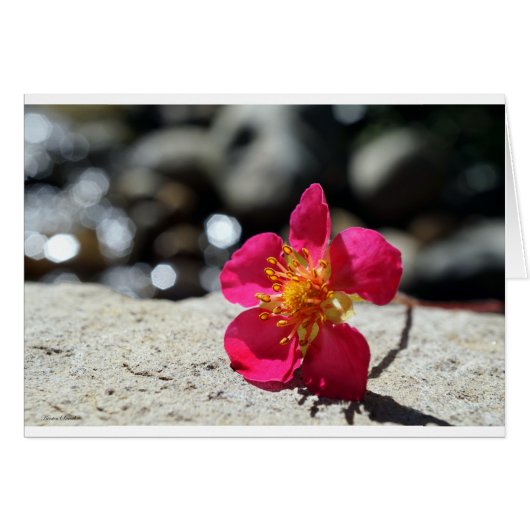 いちご花はがき (正面横)