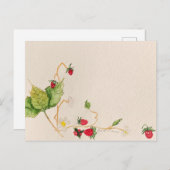 いちご葉書 ポストカード (正面/裏面)