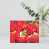 いちご葉書 ポストカード (スタンド正面)