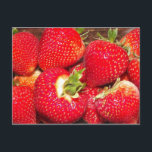 いちご葉書 ポストカード<br><div class="desc">フードフルーツ新鮮なイチゴの果実の赤い葉書</div>