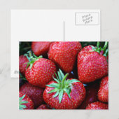 いちご葉書 ポストカード (正面/裏面)