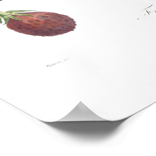 いちご ポスター (角)