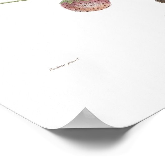 いちご ポスター (角)