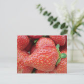 いちご ポストカード (スタンド正面)