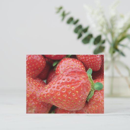 いちご ポストカード (スタンド正面)
