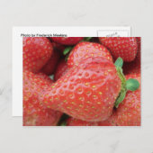 いちご ポストカード (正面/裏面)