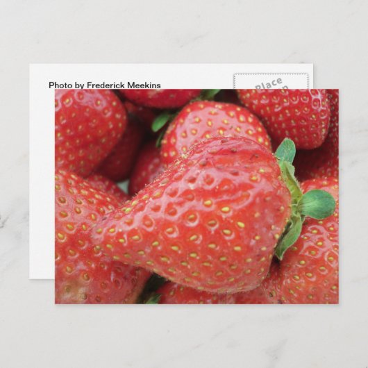 いちご ポストカード (正面/裏面)