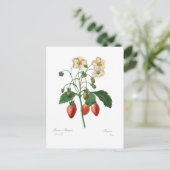 いちご ポストカード (スタンド正面)