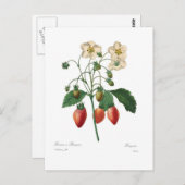 いちご ポストカード (正面/裏面)