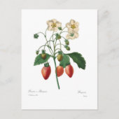 いちご ポストカード (正面)