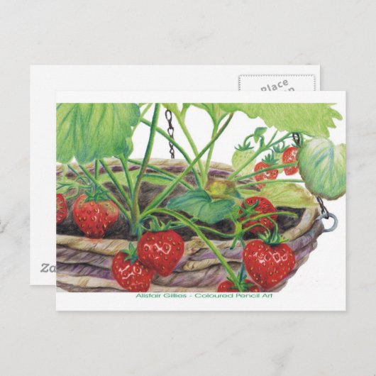 いちご ポストカード (正面/裏面)