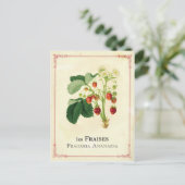 いちご ポストカード (スタンド正面)