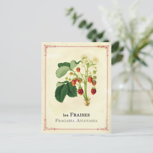 いちご ポストカード (スタンド正面)