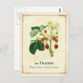 いちご ポストカード (正面/裏面)