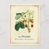 いちご ポストカード (正面)