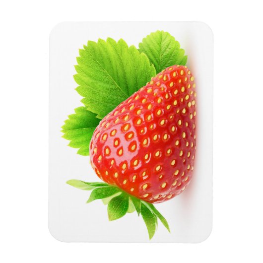いちご マグネット (縦)
