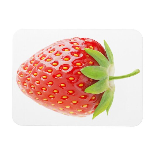 いちご マグネット (横)
