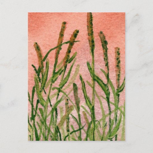 「いつかは春」農村の道のポストカード ポストカード (正面)