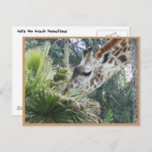 いつかランチしよう！ ポストカード (正面/裏面)