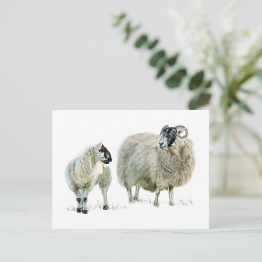 いつだってマァアさんの言うことを聞いておけ! ポストカード (スタンド正面)