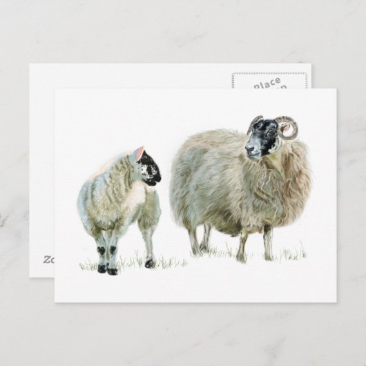 いつだってマァアさんの言うことを聞いておけ！ ポストカード (正面/裏面)