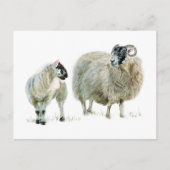 いつだってマァアさんの言うことを聞いておけ! ポストカード (正面)