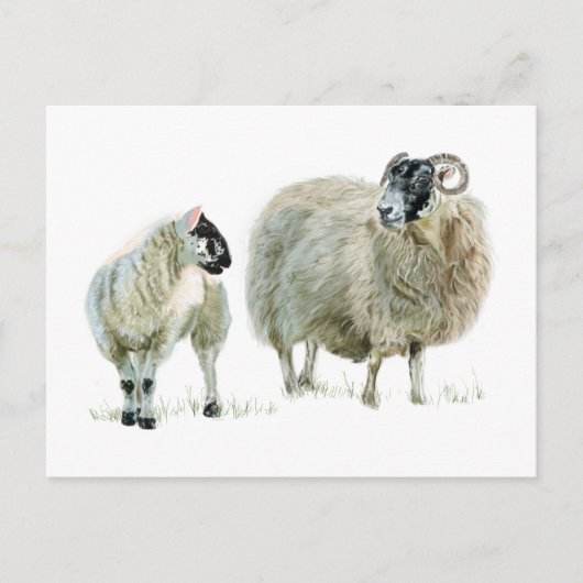 いつだってマァアさんの言うことを聞いておけ! ポストカード (正面)